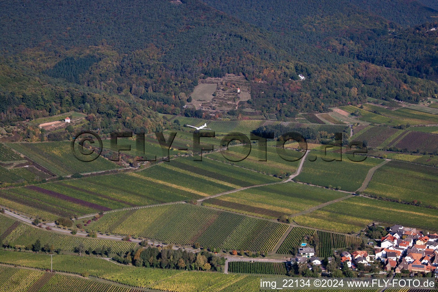 Drone recording of Sankt Martin in the state Rhineland-Palatinate, Germany