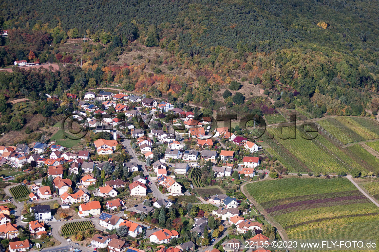 Aerial view of Sankt Martin in the state Rhineland-Palatinate, Germany