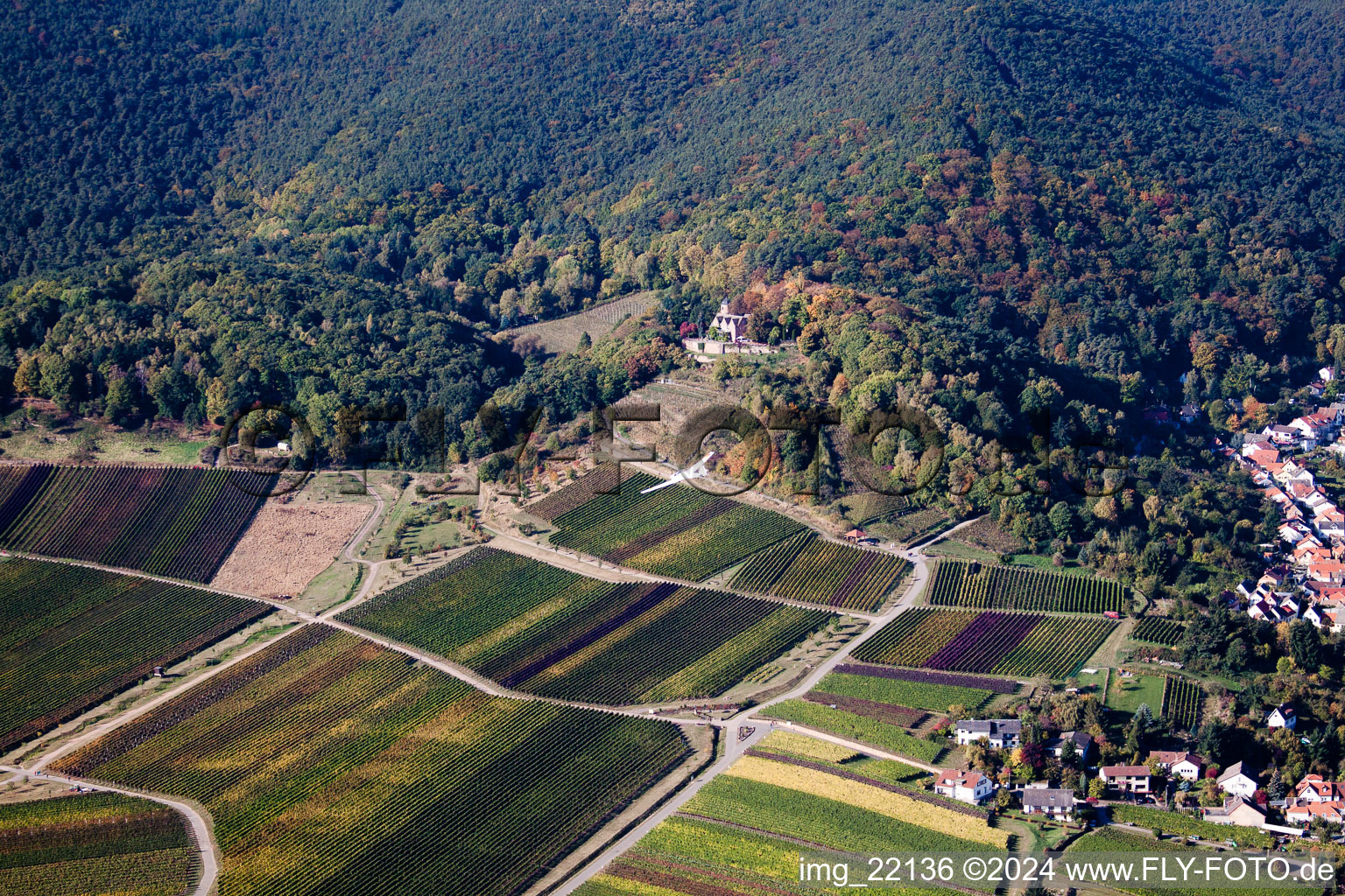 Sankt Martin in the state Rhineland-Palatinate, Germany from the drone perspective