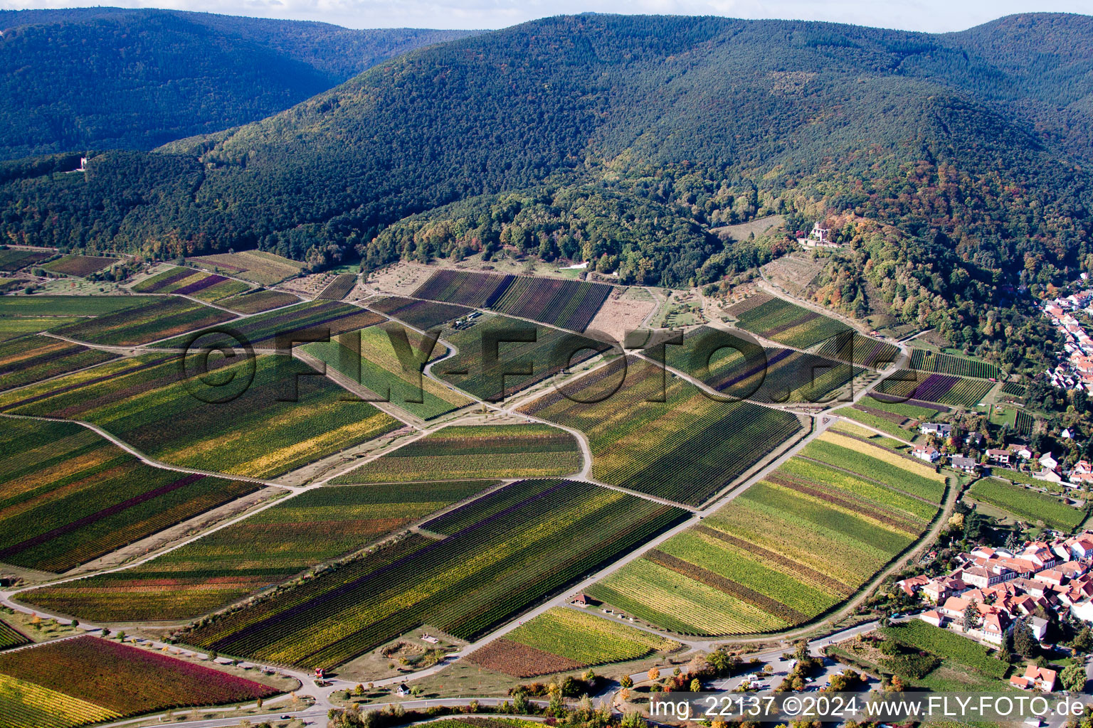 Sankt Martin in the state Rhineland-Palatinate, Germany from a drone