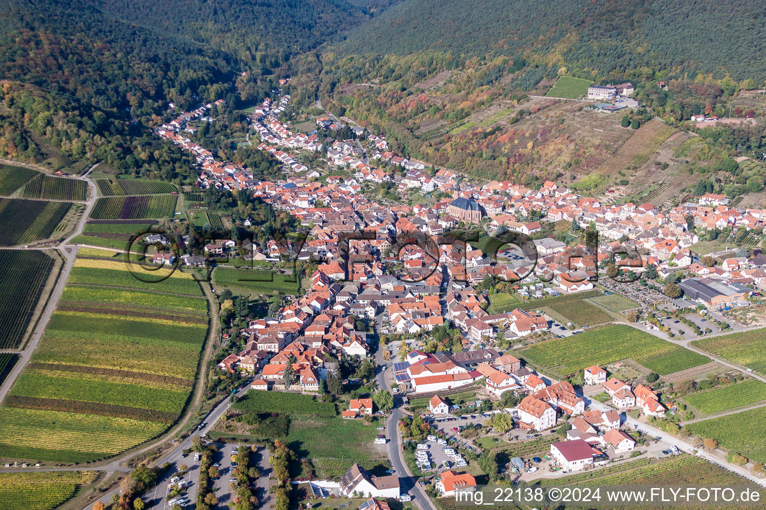 Aerial view of Village - view on the edge of agricultural fields and farmland in Sankt Martin in the state Rhineland-Palatinate, Germany