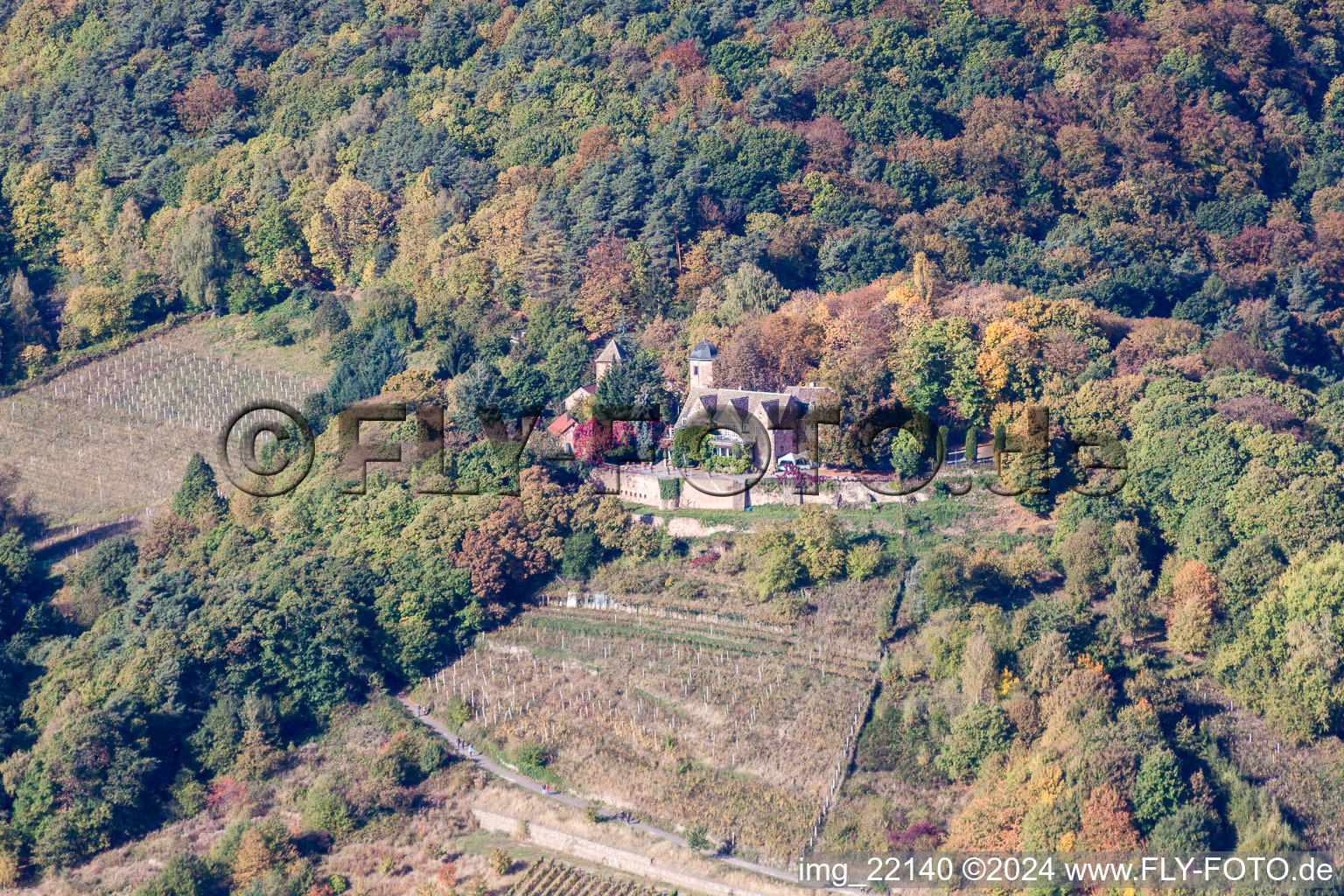 Sankt Martin in the state Rhineland-Palatinate, Germany from above