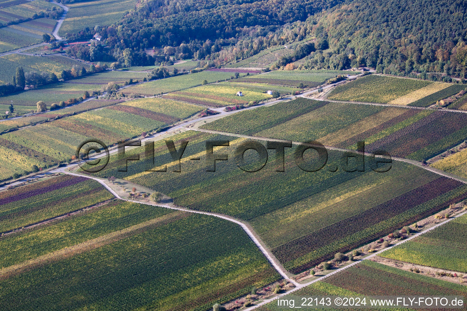 Sankt Martin in the state Rhineland-Palatinate, Germany out of the air