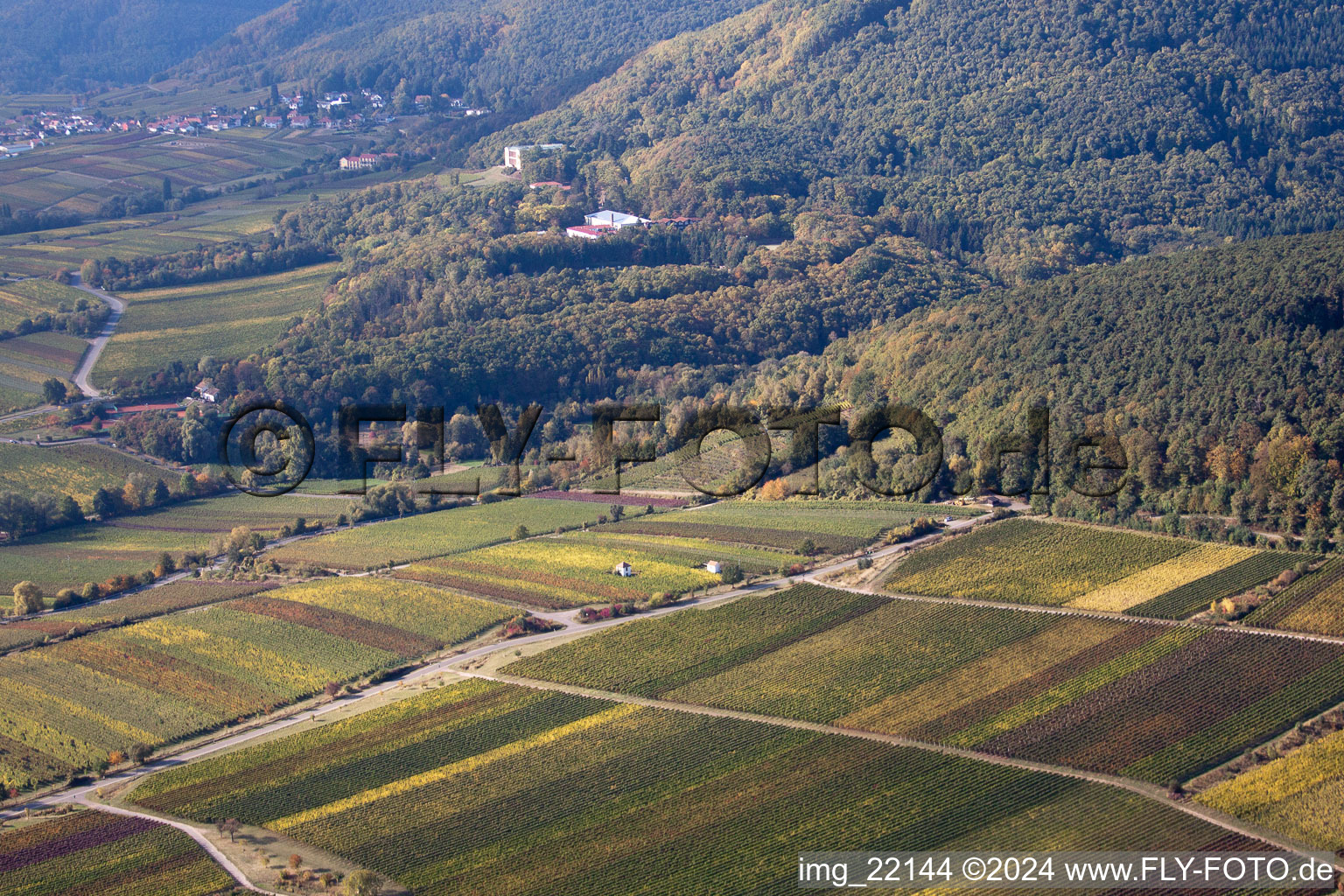 Sankt Martin in the state Rhineland-Palatinate, Germany seen from above