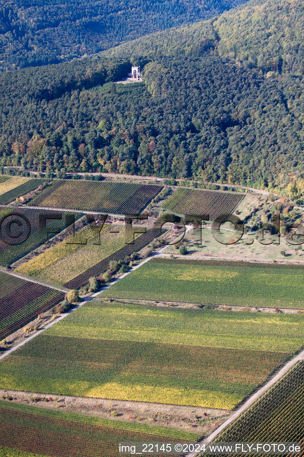 Sankt Martin in the state Rhineland-Palatinate, Germany from the plane