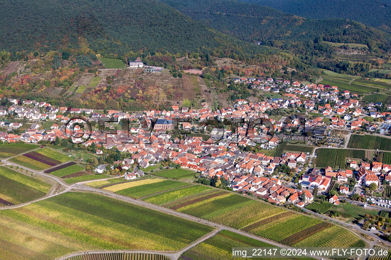 Aerial photograpy of Village - view on the edge of agricultural fields and farmland in Sankt Martin in the state Rhineland-Palatinate, Germany