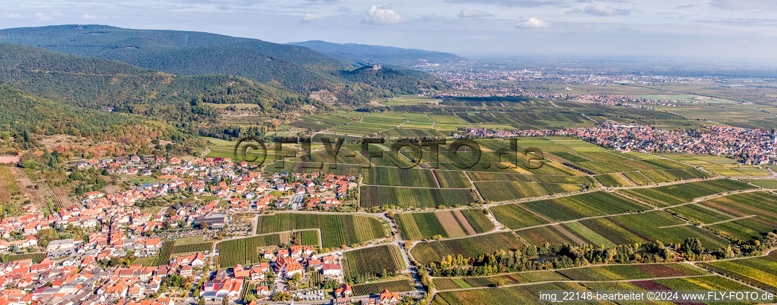 Village - view on the edge of the rhine valley and wineyards in Sankt Martin in the state Rhineland-Palatinate, Germany