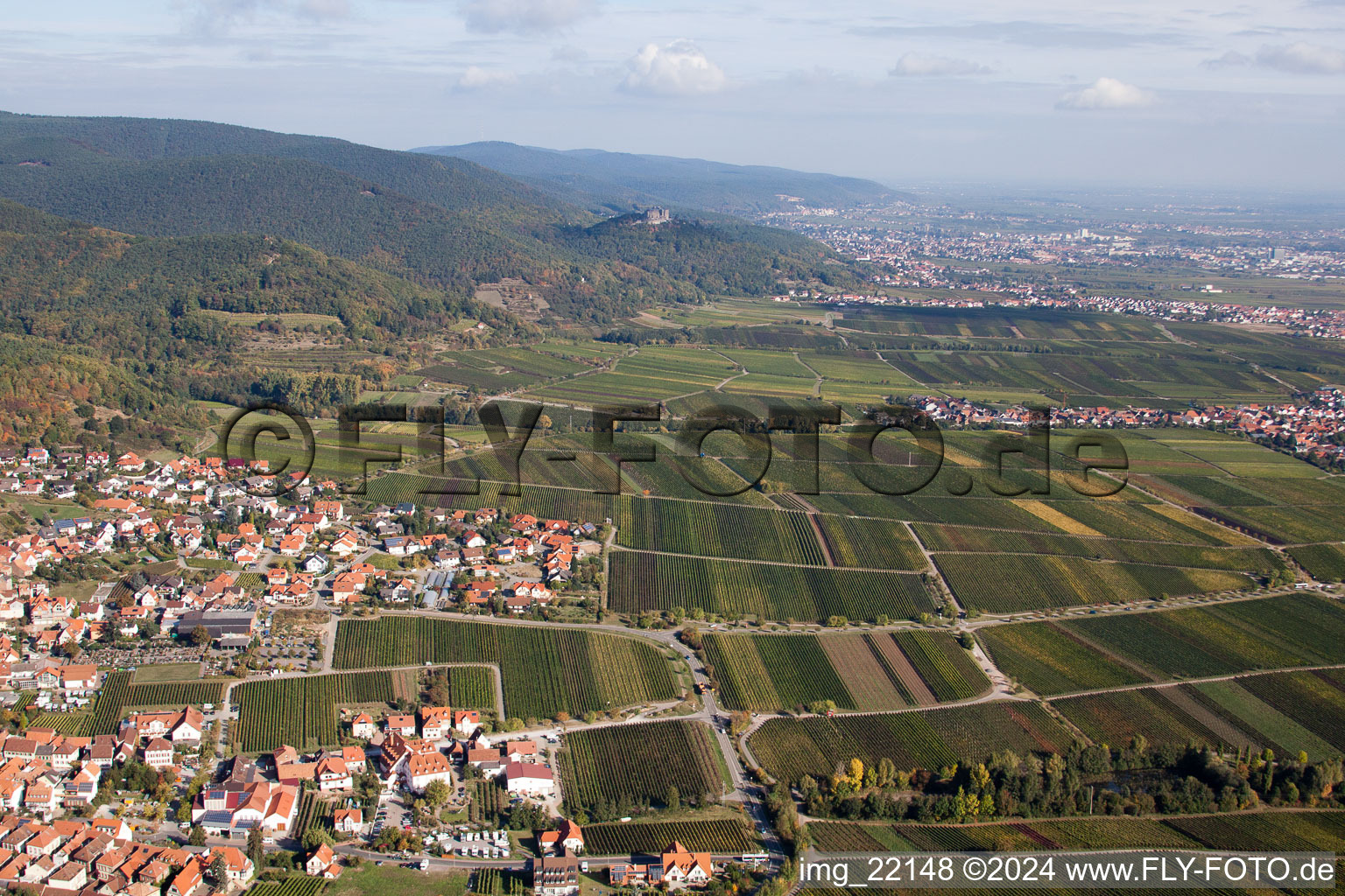 Sankt Martin in the state Rhineland-Palatinate, Germany from above