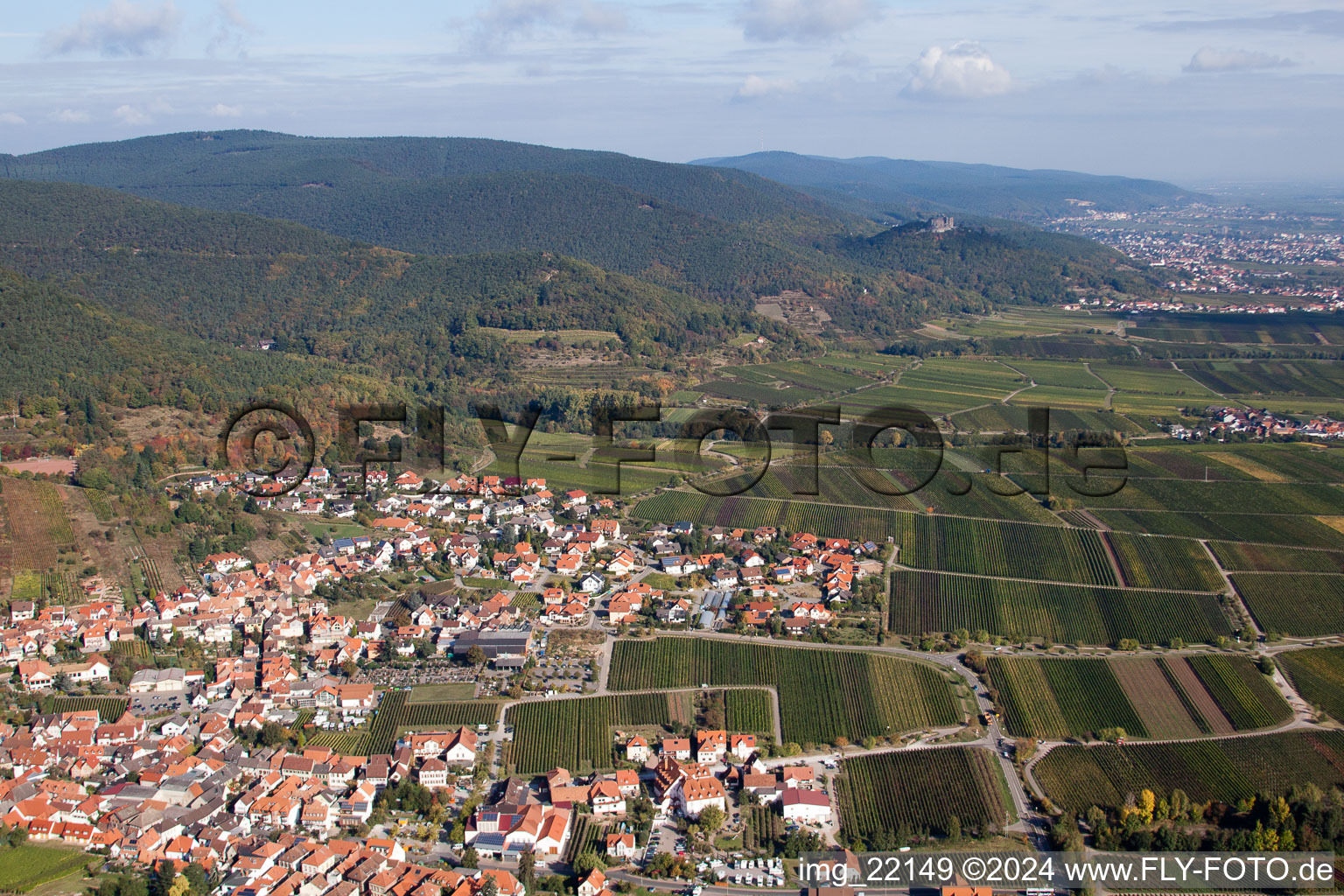 Sankt Martin in the state Rhineland-Palatinate, Germany out of the air