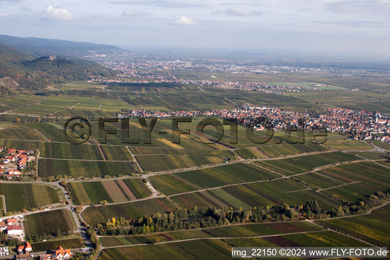 Sankt Martin in the state Rhineland-Palatinate, Germany seen from above