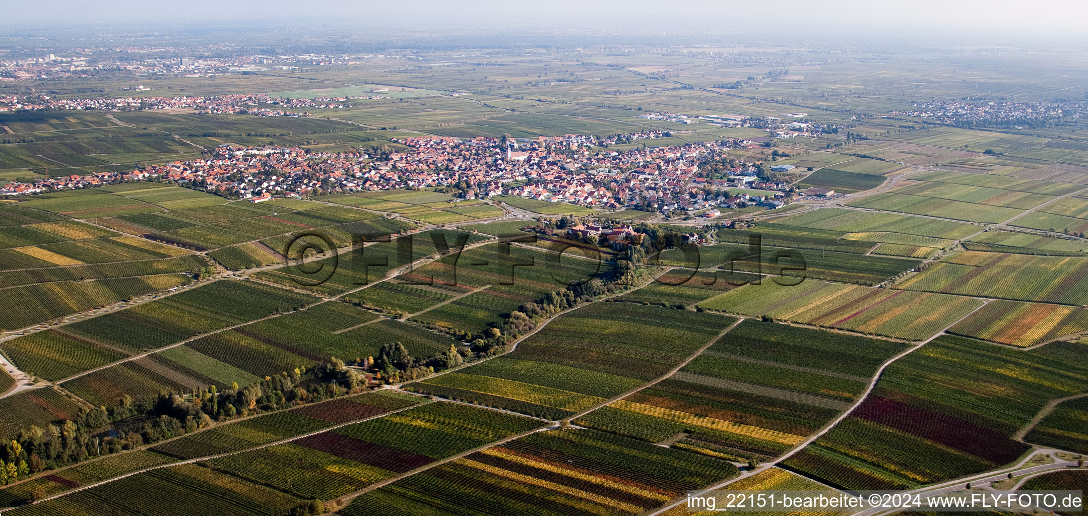 Sankt Martin in the state Rhineland-Palatinate, Germany from the plane