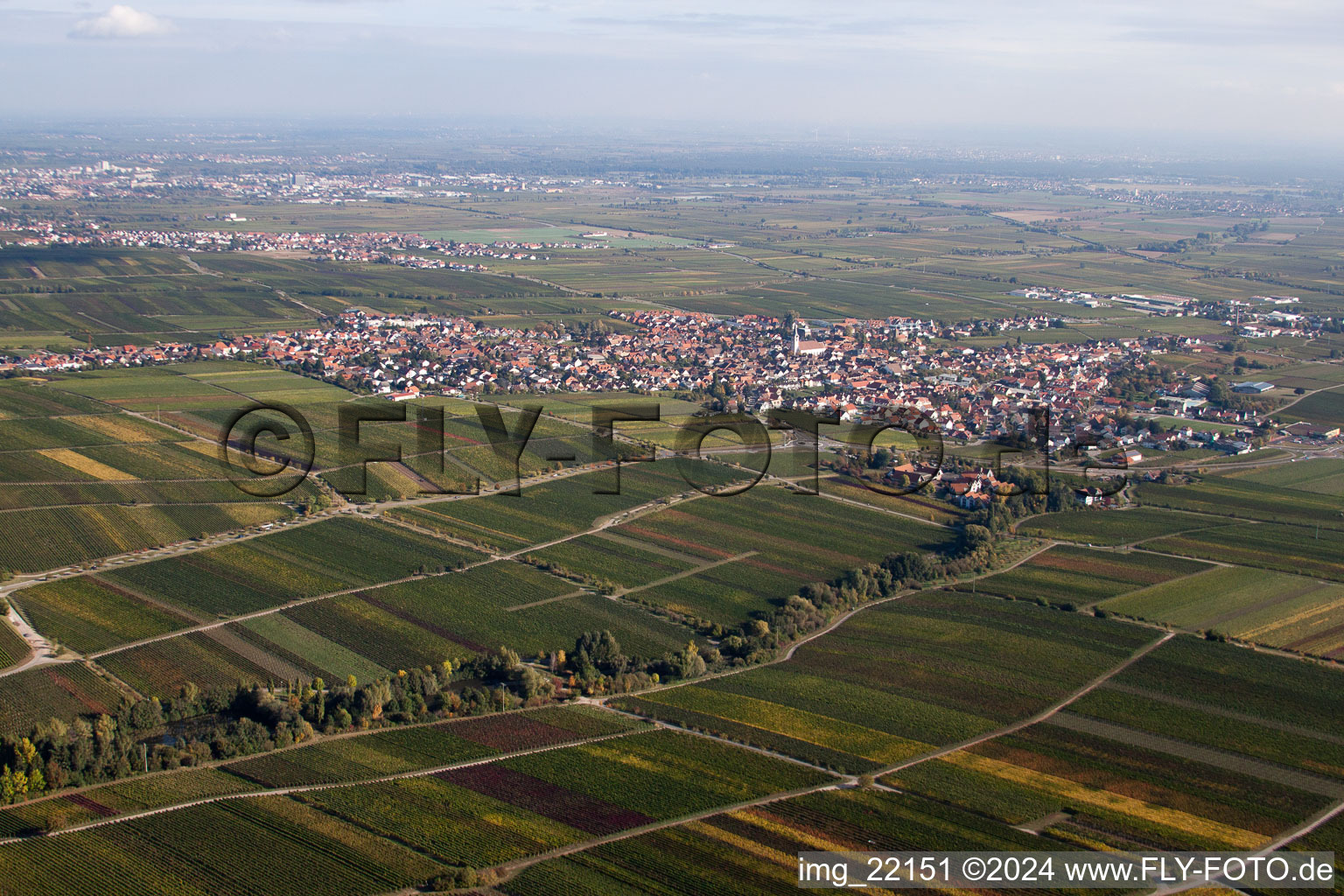 Sankt Martin in the state Rhineland-Palatinate, Germany from the drone perspective