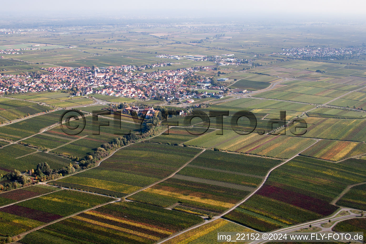 Sankt Martin in the state Rhineland-Palatinate, Germany viewn from the air