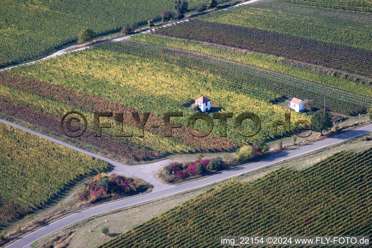 Drone recording of Sankt Martin in the state Rhineland-Palatinate, Germany