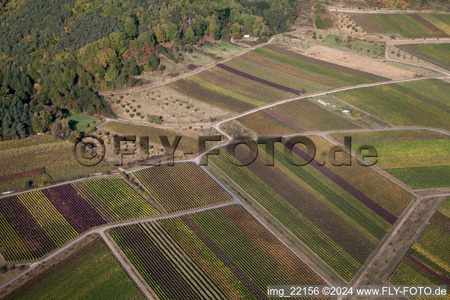 Drone image of Sankt Martin in the state Rhineland-Palatinate, Germany