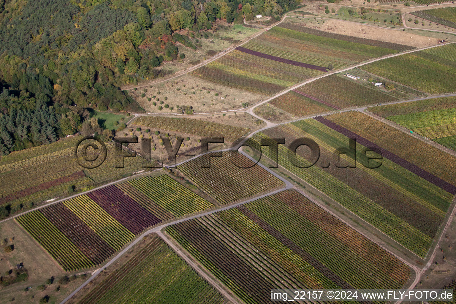 Sankt Martin in the state Rhineland-Palatinate, Germany from the drone perspective