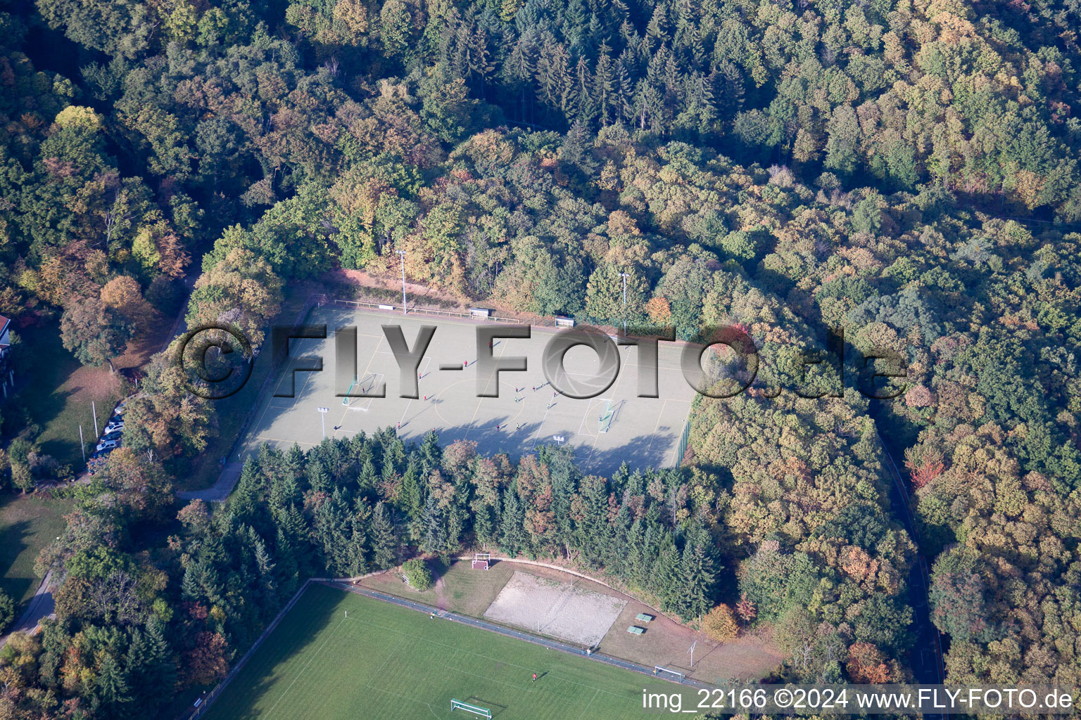 Rhodt unter Rietburg in the state Rhineland-Palatinate, Germany from a drone