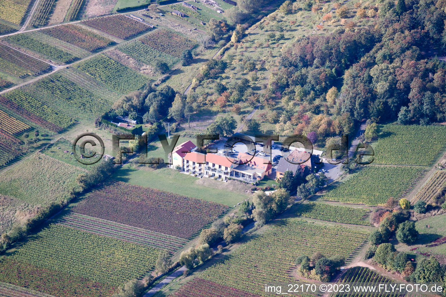 Rhodt unter Rietburg in the state Rhineland-Palatinate, Germany viewn from the air