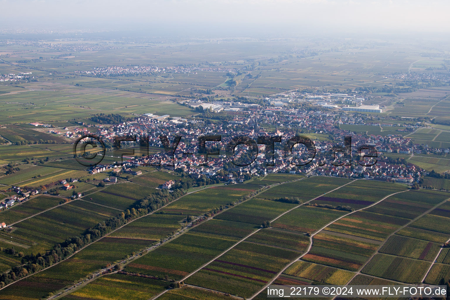 Bird's eye view of Edenkoben in the state Rhineland-Palatinate, Germany