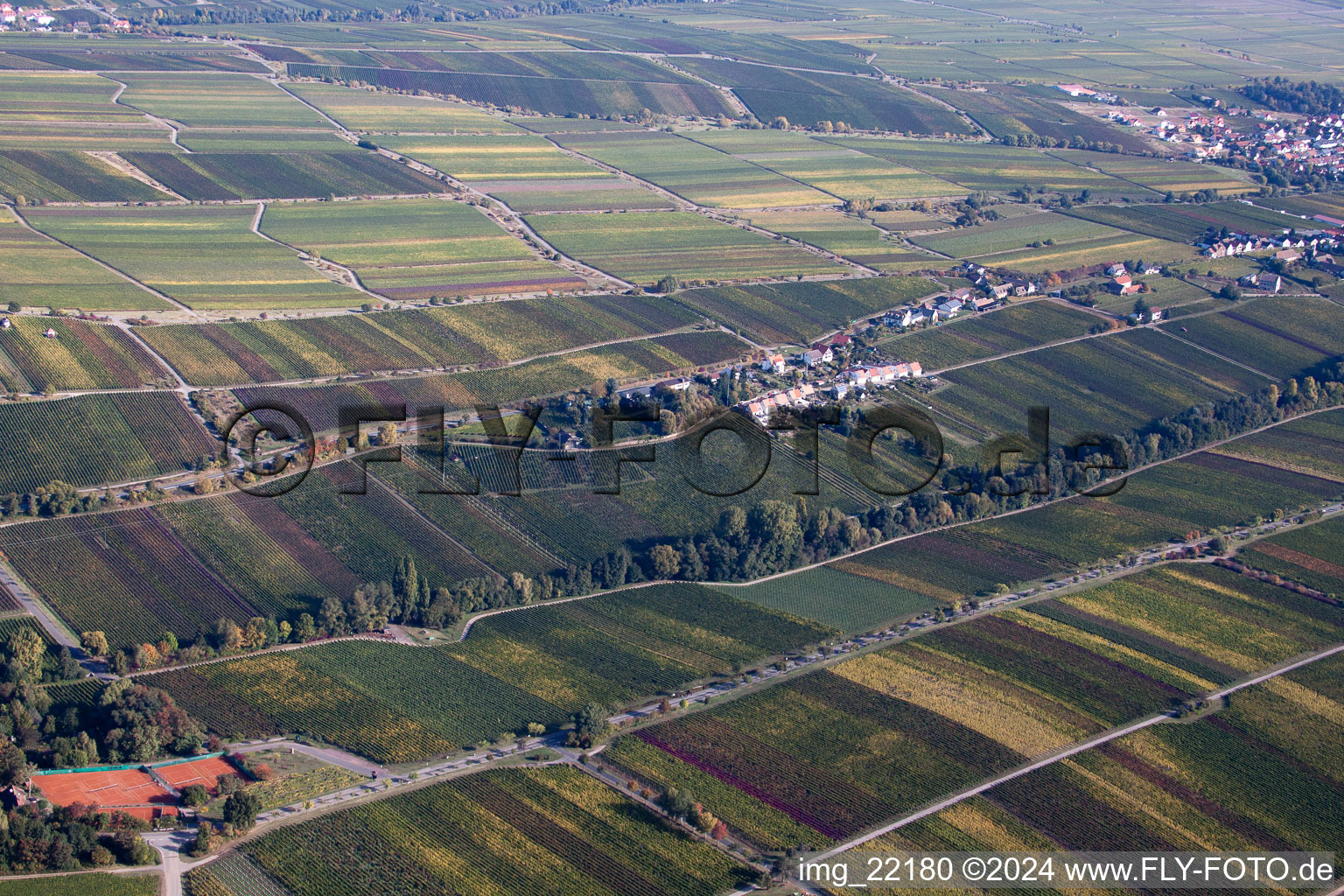 Edenkoben in the state Rhineland-Palatinate, Germany viewn from the air