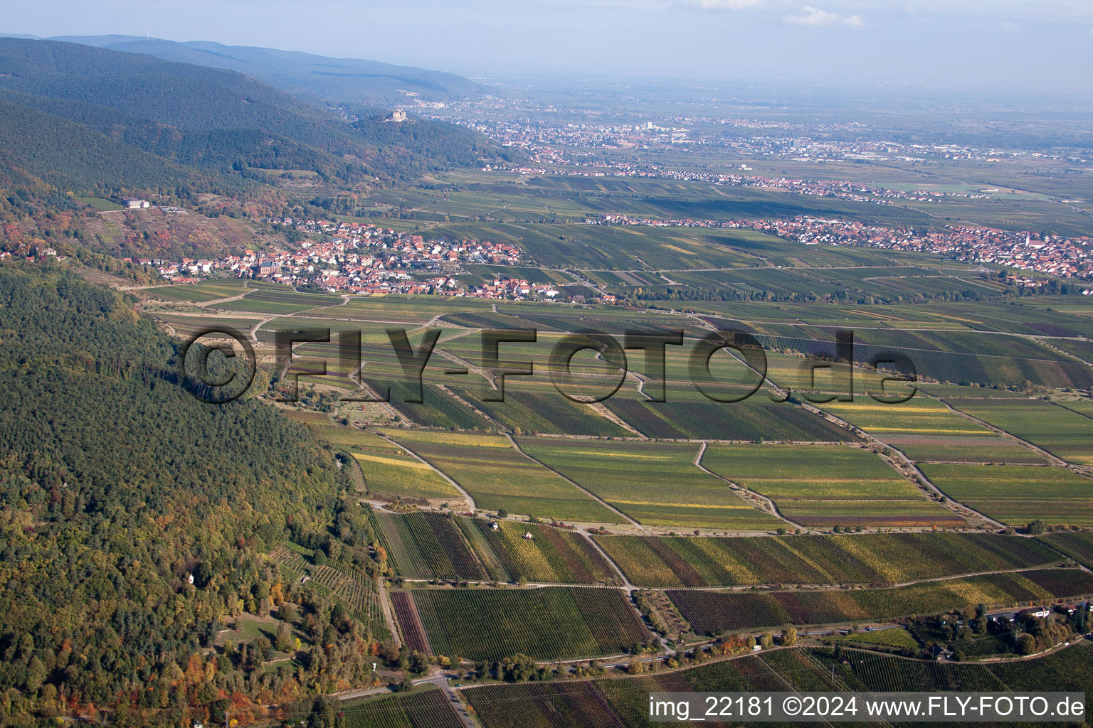 Sankt Martin in the state Rhineland-Palatinate, Germany seen from a drone