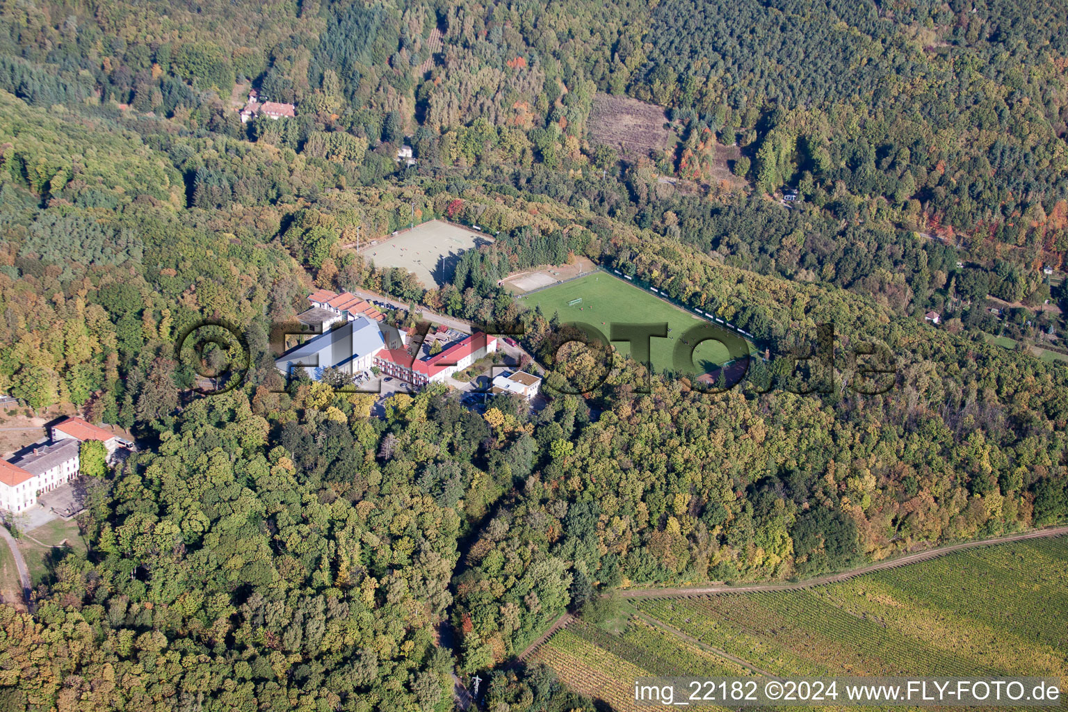 Drone recording of Weyher in der Pfalz in the state Rhineland-Palatinate, Germany