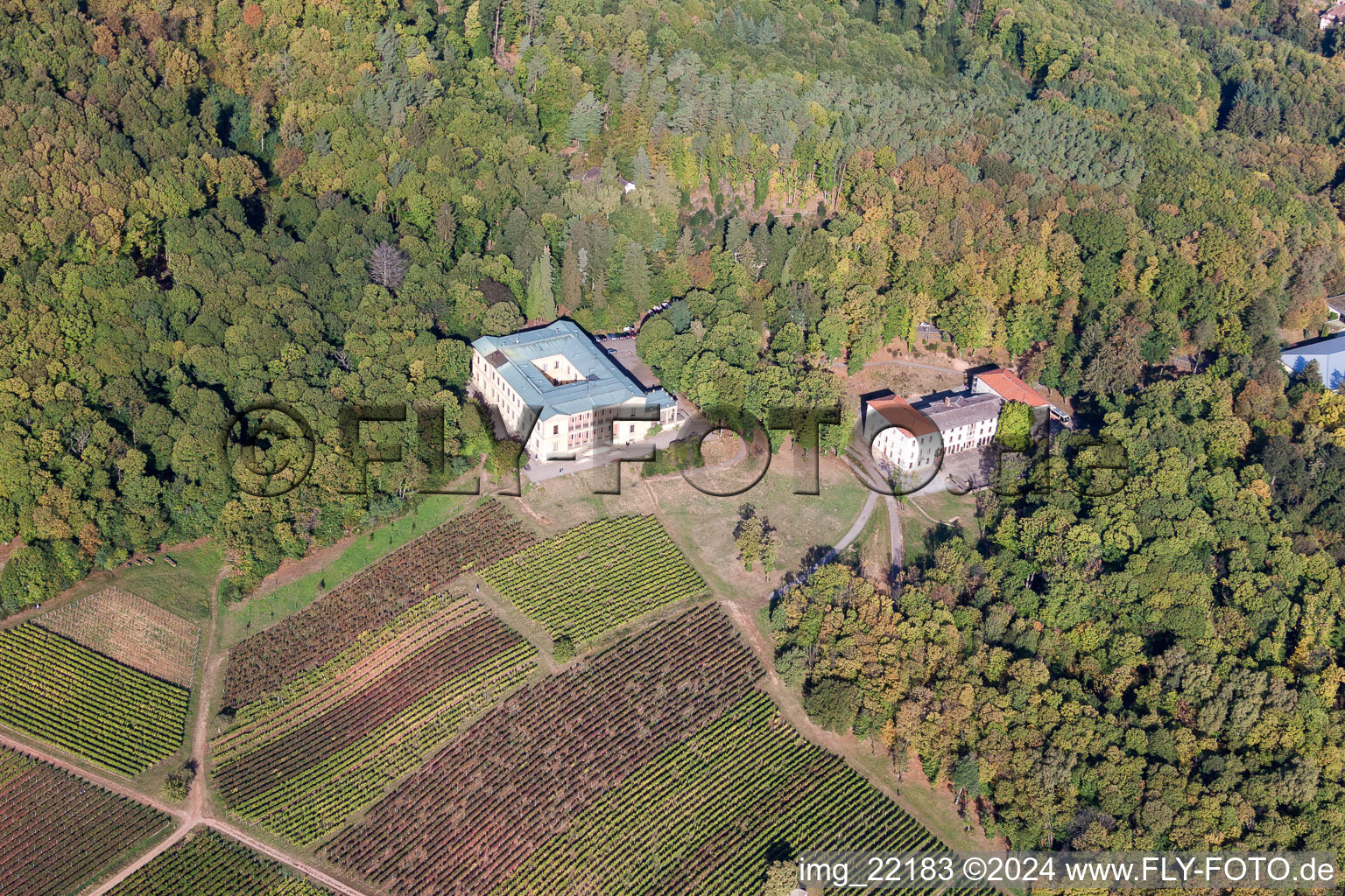 Aerial photograpy of Palace Villa Ludwigshoehe in Edenkoben in the state Rhineland-Palatinate, Germany