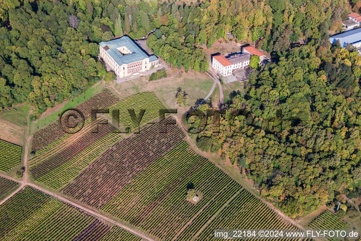 Bird's eye view of Castle of Schloss Villa Ludwigshoehe in Edenkoben in the state Rhineland-Palatinate, Germany