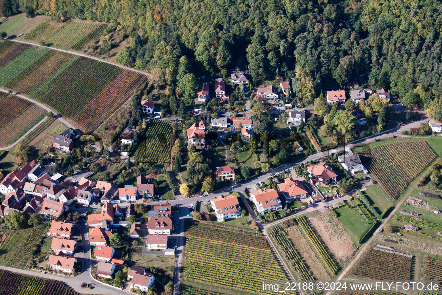 Weyher in der Pfalz in the state Rhineland-Palatinate, Germany out of the air