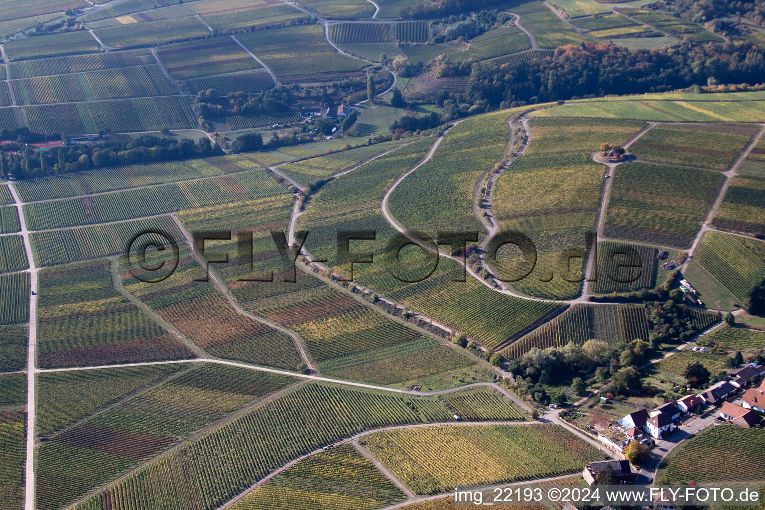 Oblique view of Weyher in der Pfalz in the state Rhineland-Palatinate, Germany