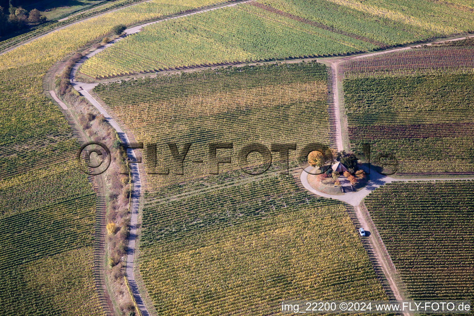 Bird's eye view of Weyher in der Pfalz in the state Rhineland-Palatinate, Germany