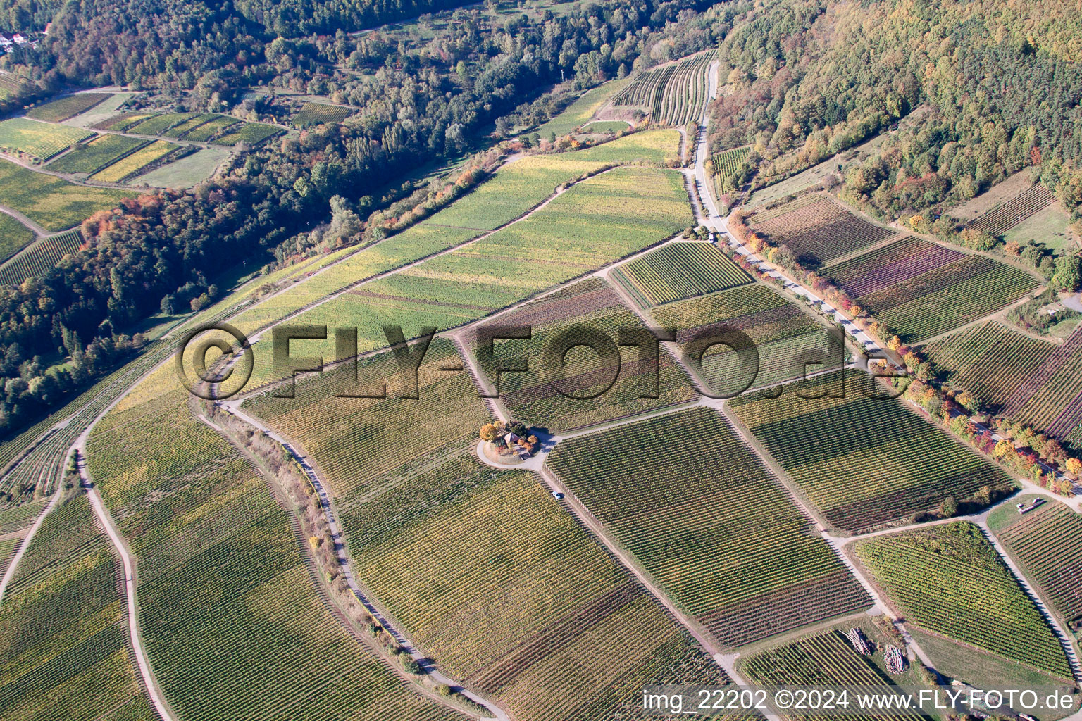 Drone recording of Weyher in der Pfalz in the state Rhineland-Palatinate, Germany