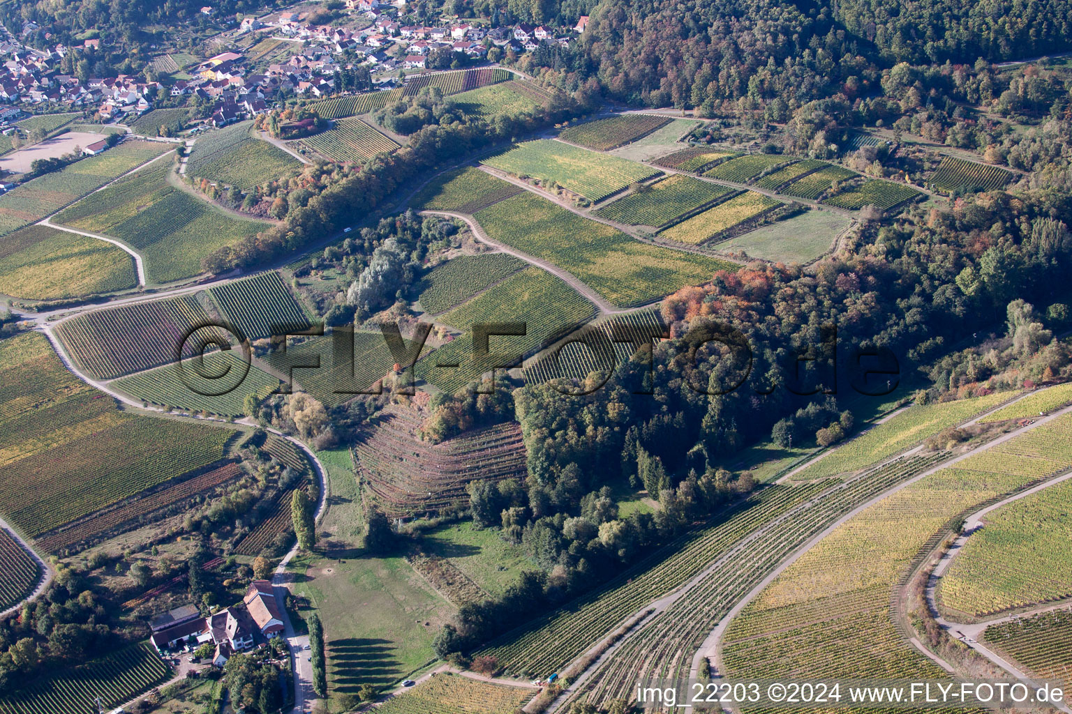 Oblique view of Weyher in der Pfalz in the state Rhineland-Palatinate, Germany