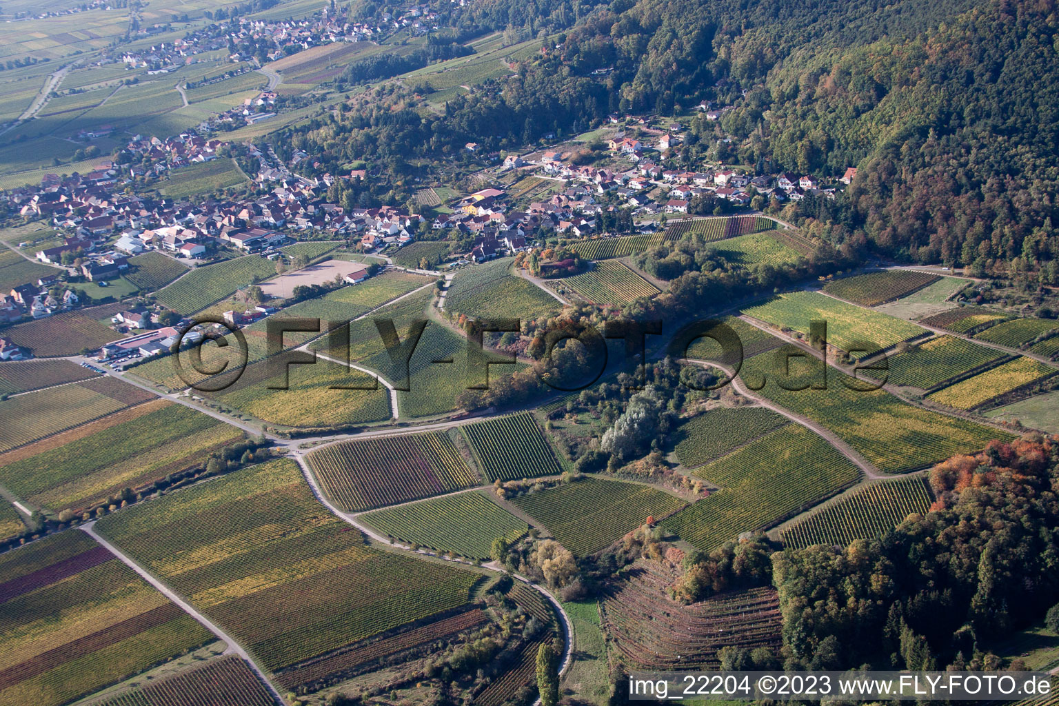 Aerial photograpy of Burrweiler in the state Rhineland-Palatinate, Germany