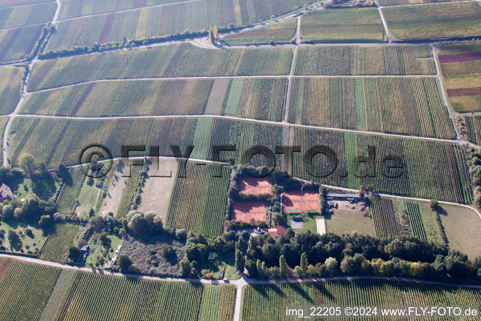 Oblique view of Burrweiler in the state Rhineland-Palatinate, Germany