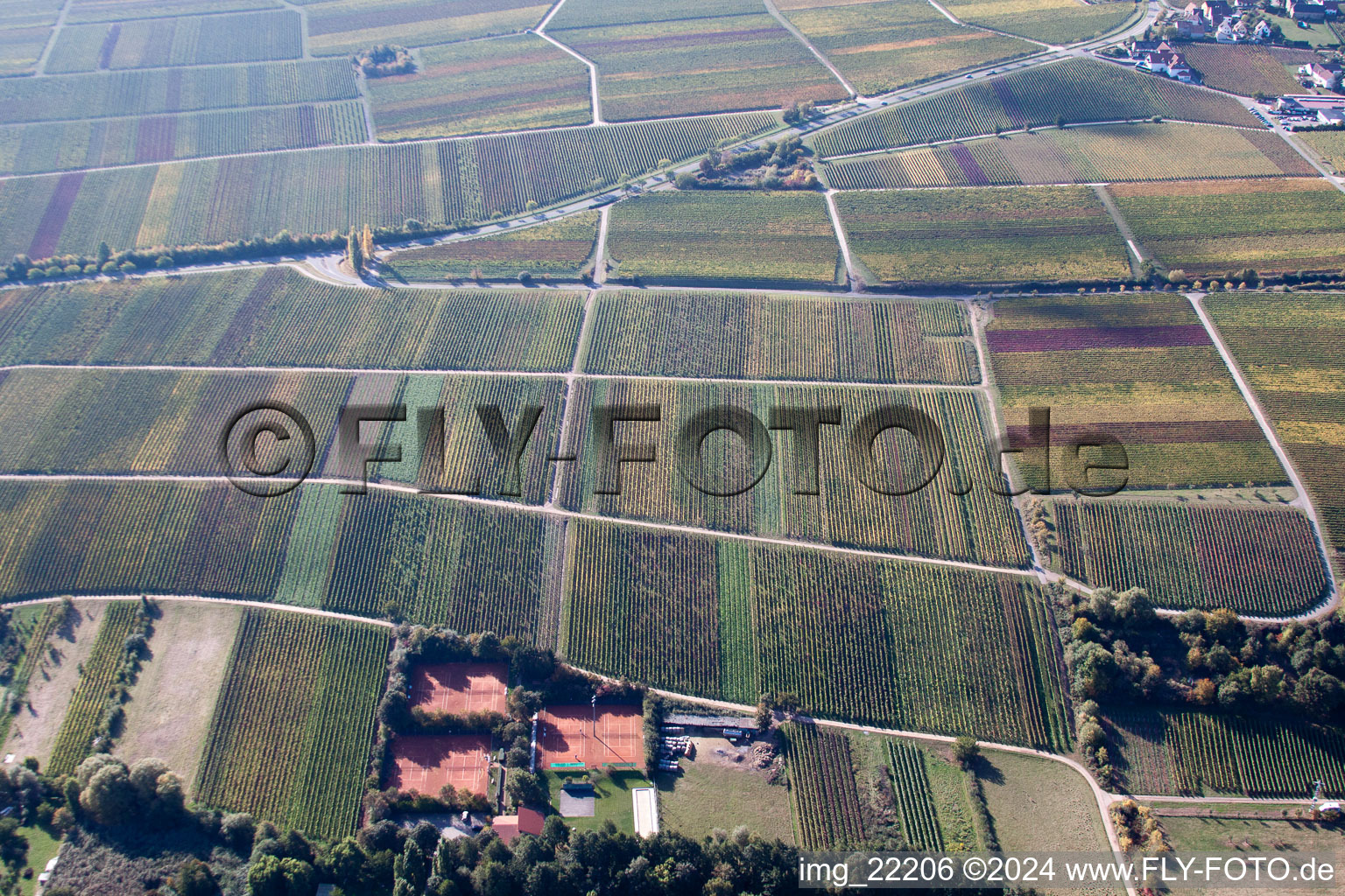 Burrweiler in the state Rhineland-Palatinate, Germany from above