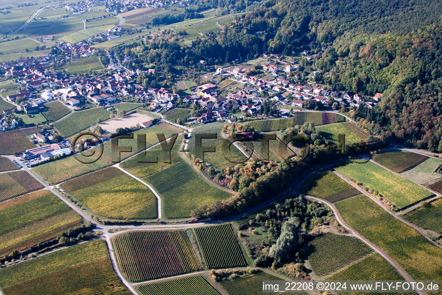 Burrweiler in the state Rhineland-Palatinate, Germany seen from above