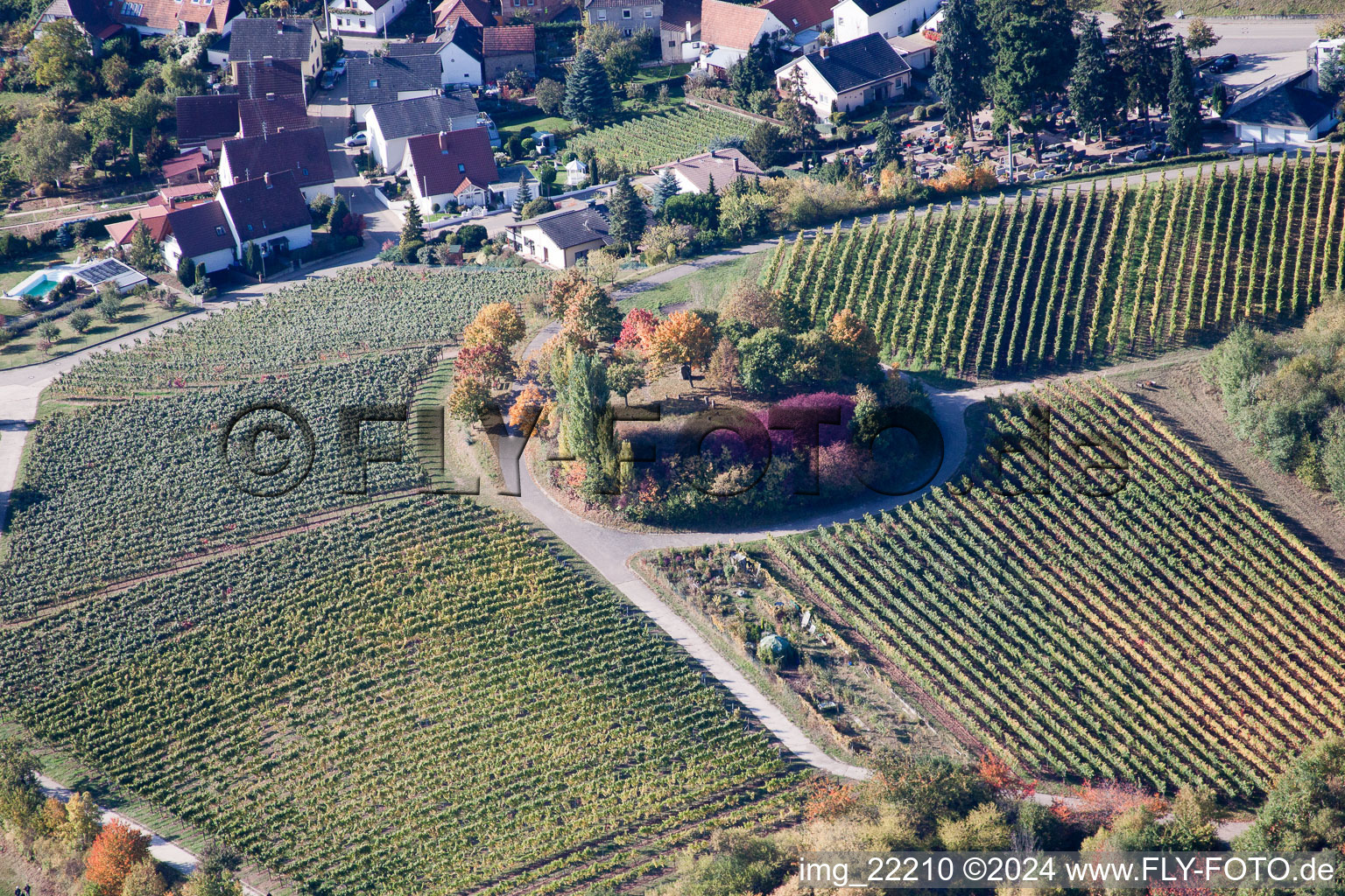 Island of trees in a field in Burrweiler in the state Rhineland-Palatinate