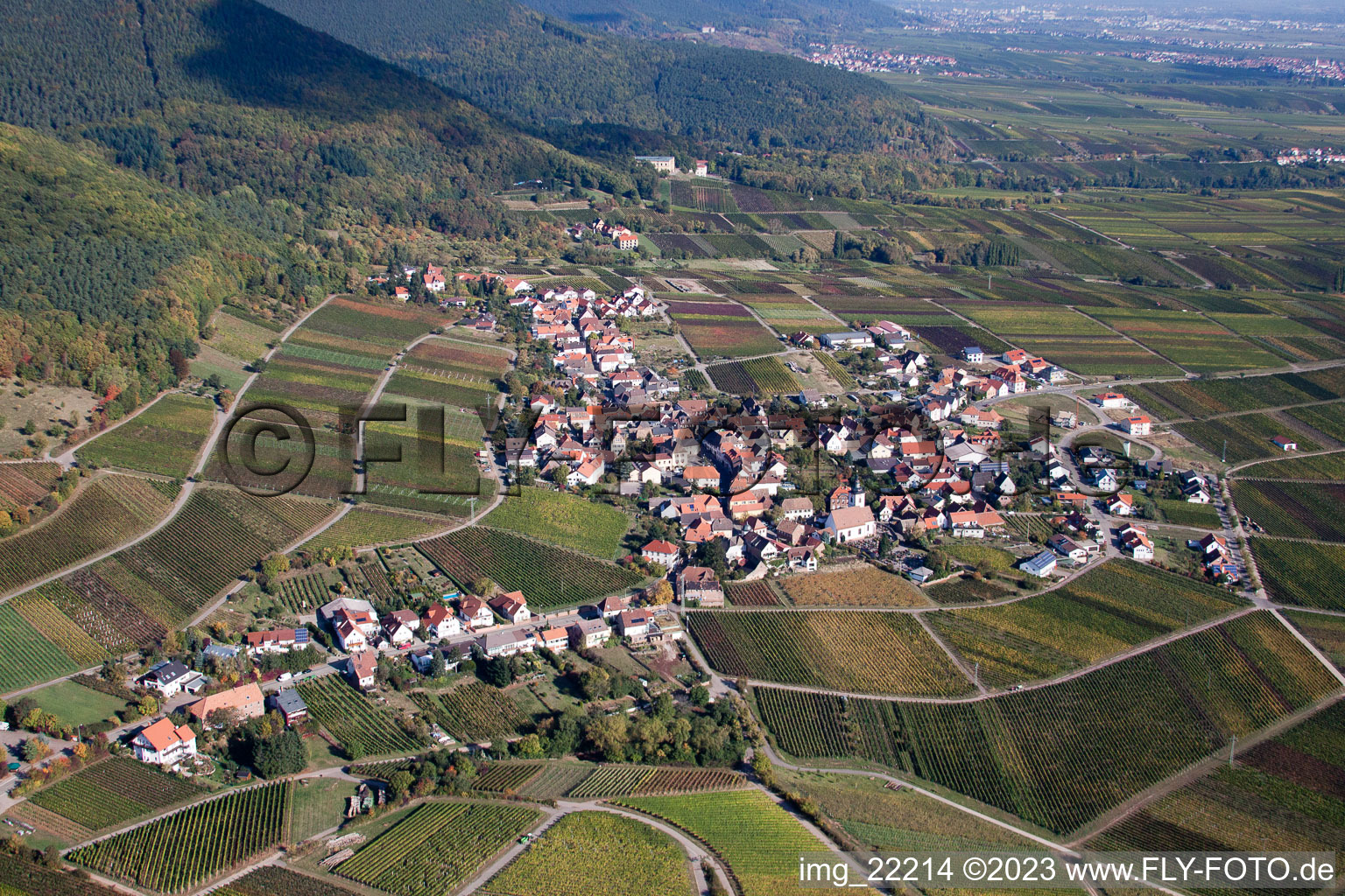 Weyher in der Pfalz in the state Rhineland-Palatinate, Germany from above