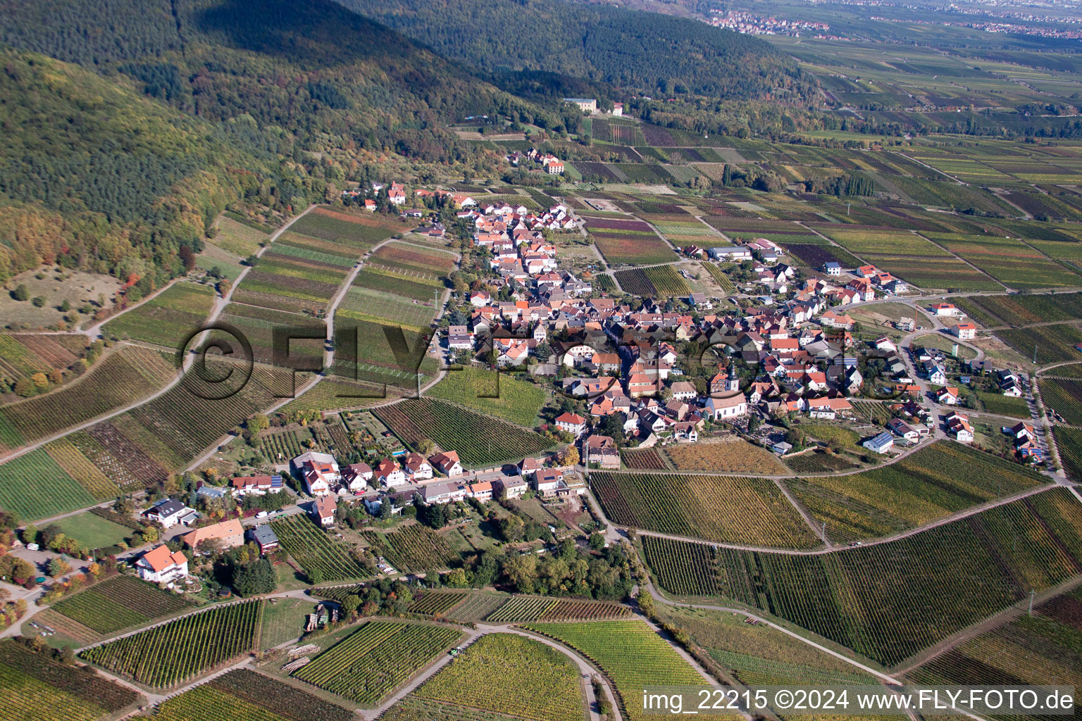 Village - view on the edge of wine yards in Weyher in der Pfalz in the state Rhineland-Palatinate, Germany