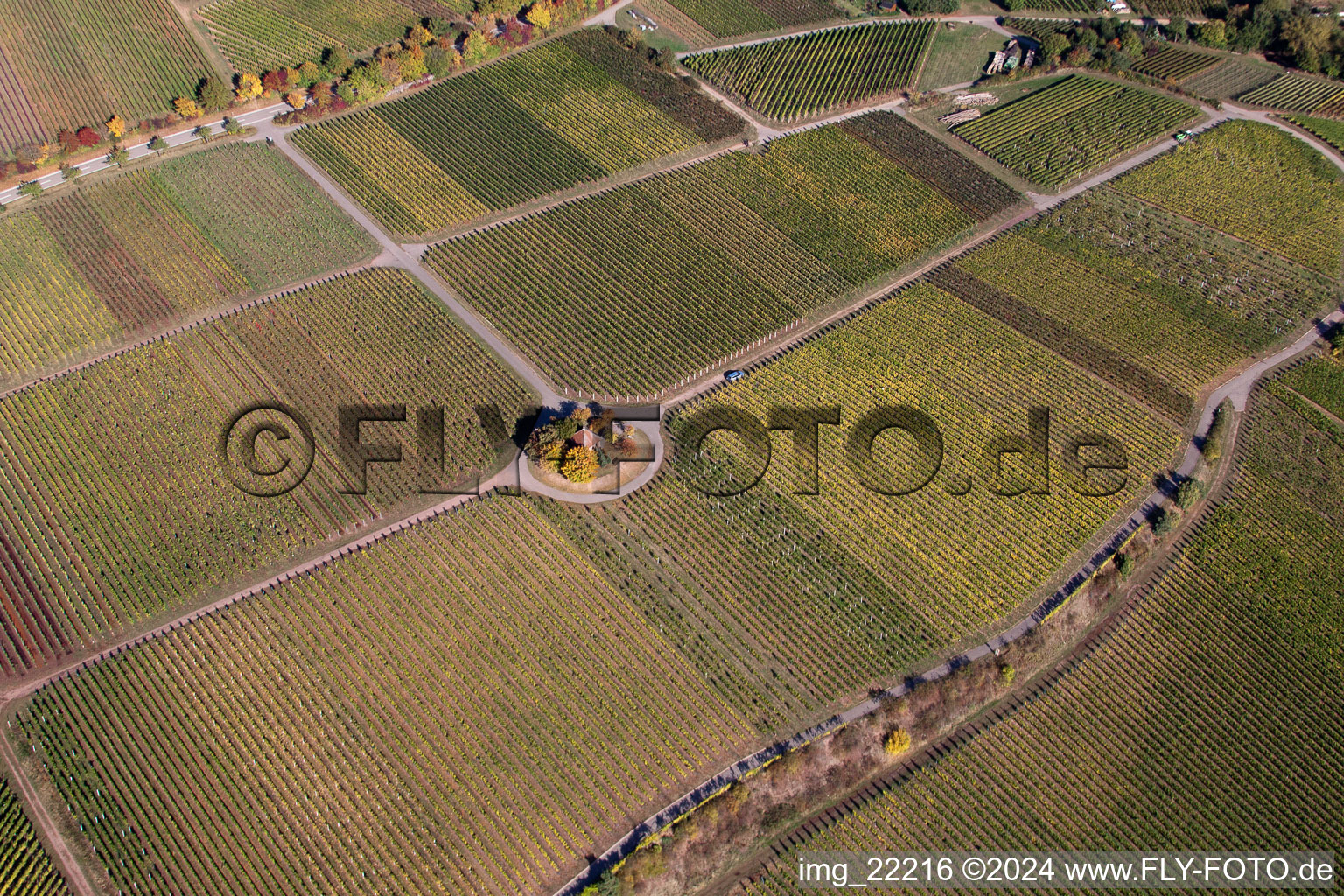 Weyher in der Pfalz in the state Rhineland-Palatinate, Germany from a drone