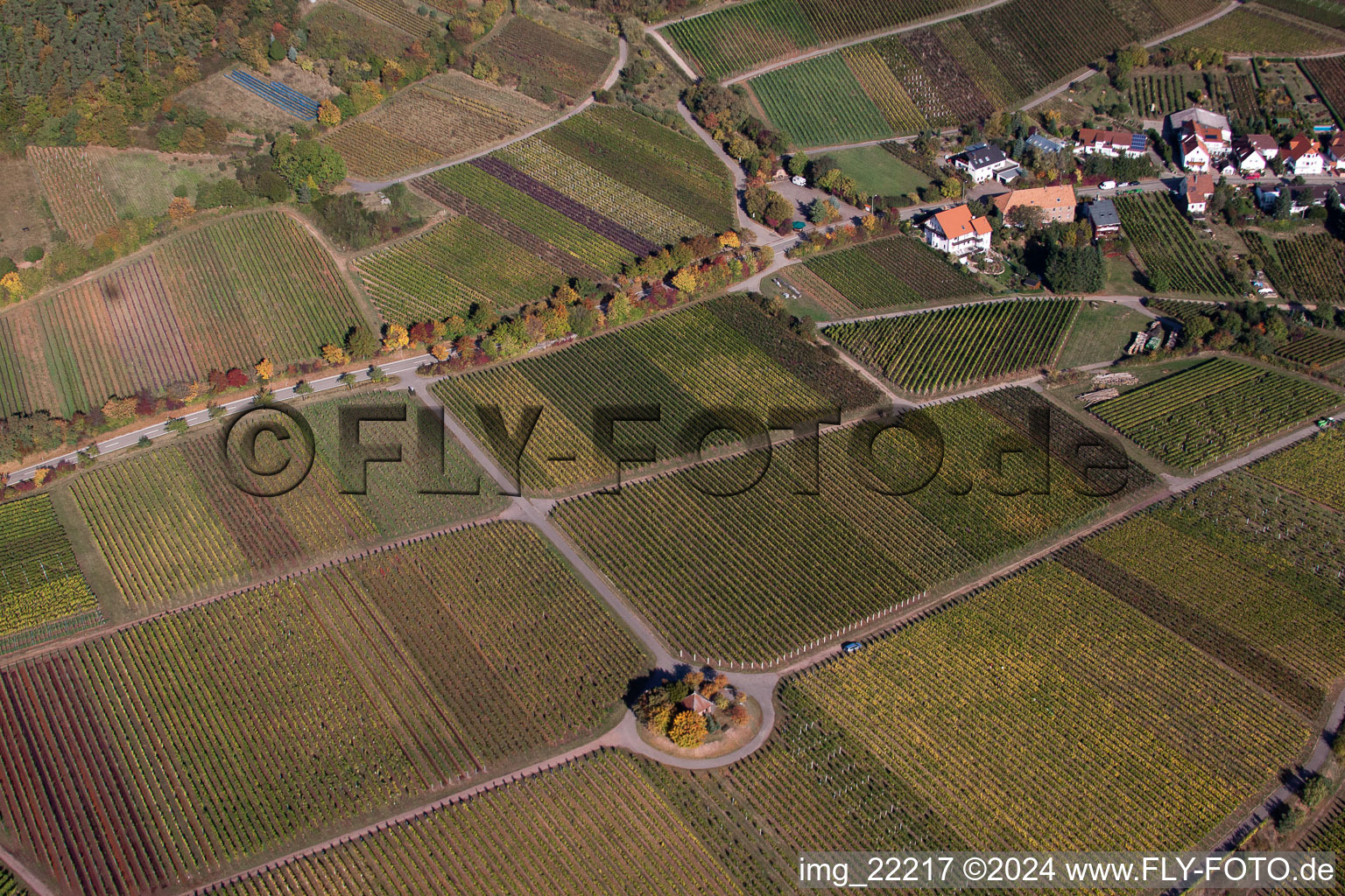 Weyher in der Pfalz in the state Rhineland-Palatinate, Germany seen from a drone