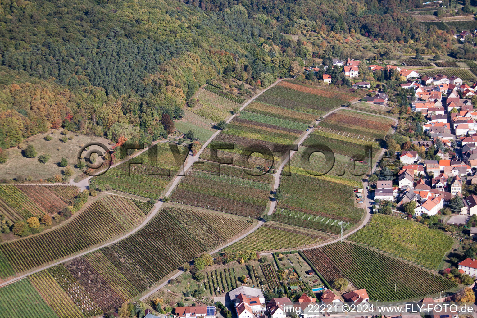 Aerial view of Weyher in der Pfalz in the state Rhineland-Palatinate, Germany