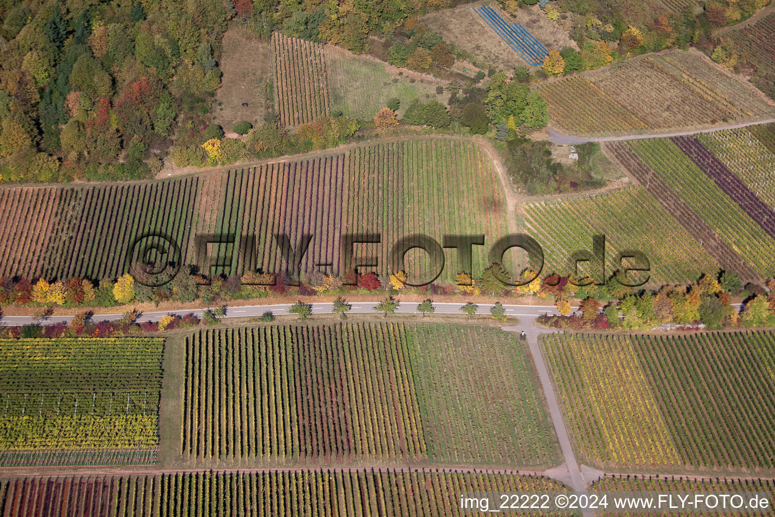 Bird's eye view of Weyher in der Pfalz in the state Rhineland-Palatinate, Germany