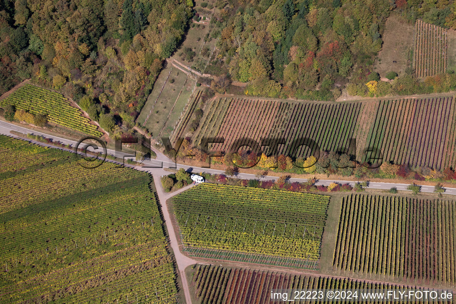 Oblique view of Weyher in der Pfalz in the state Rhineland-Palatinate, Germany