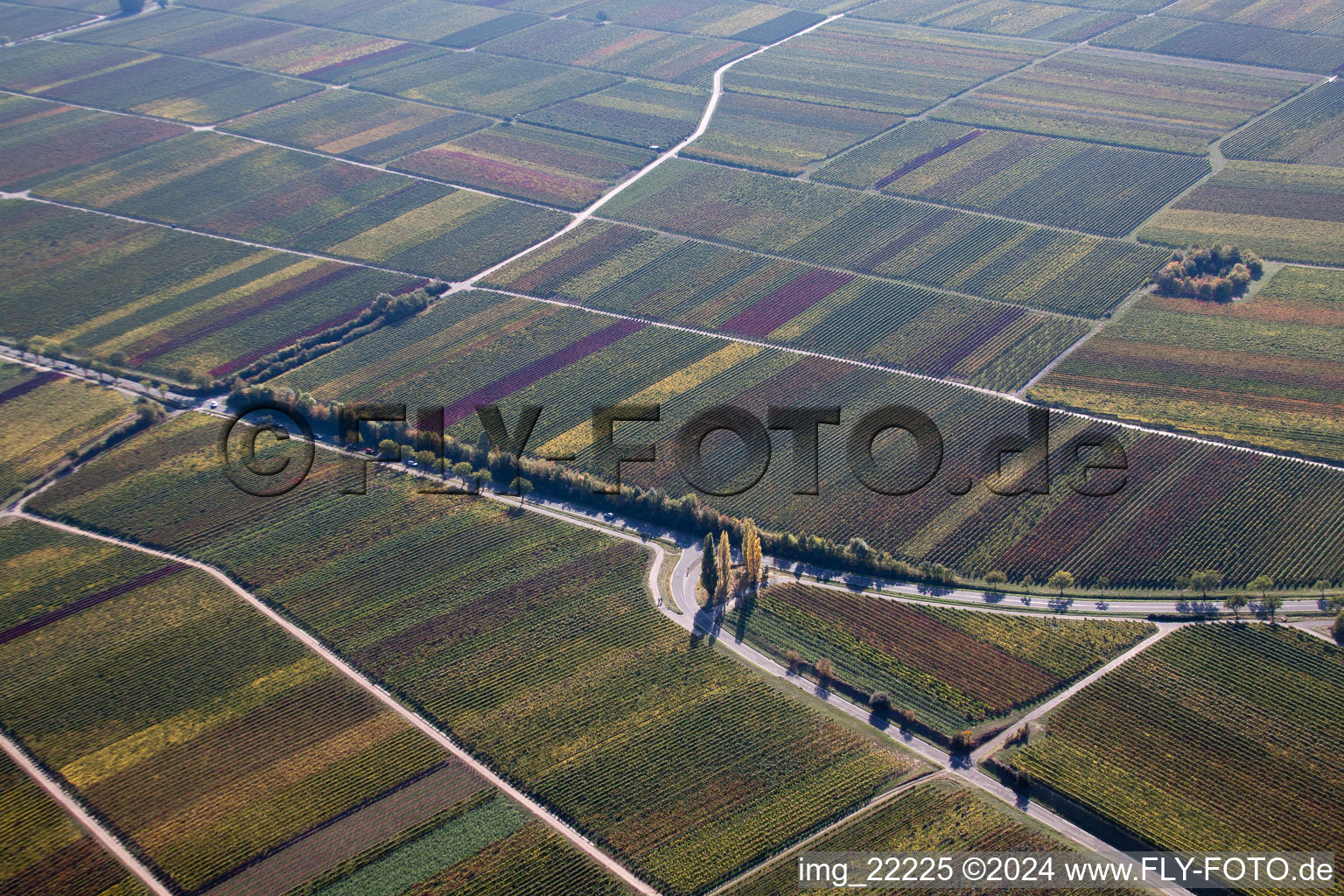 Weyher in der Pfalz in the state Rhineland-Palatinate, Germany out of the air