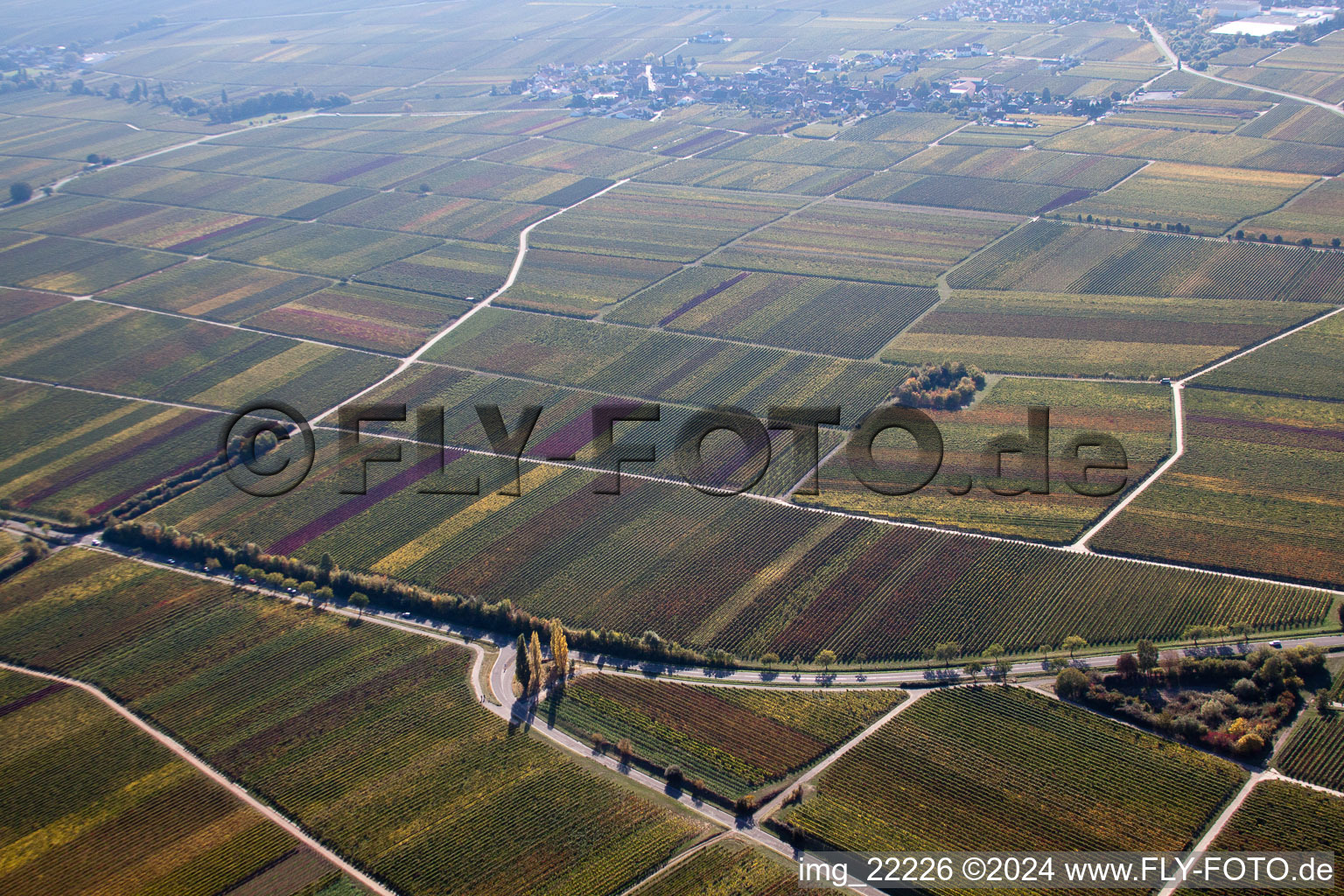 Weyher in der Pfalz in the state Rhineland-Palatinate, Germany seen from above