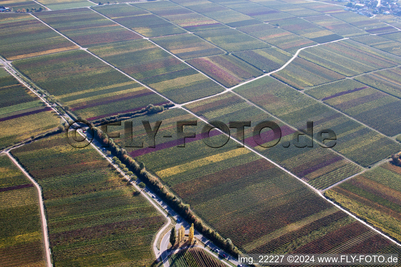 Burrweiler in the state Rhineland-Palatinate, Germany from the plane