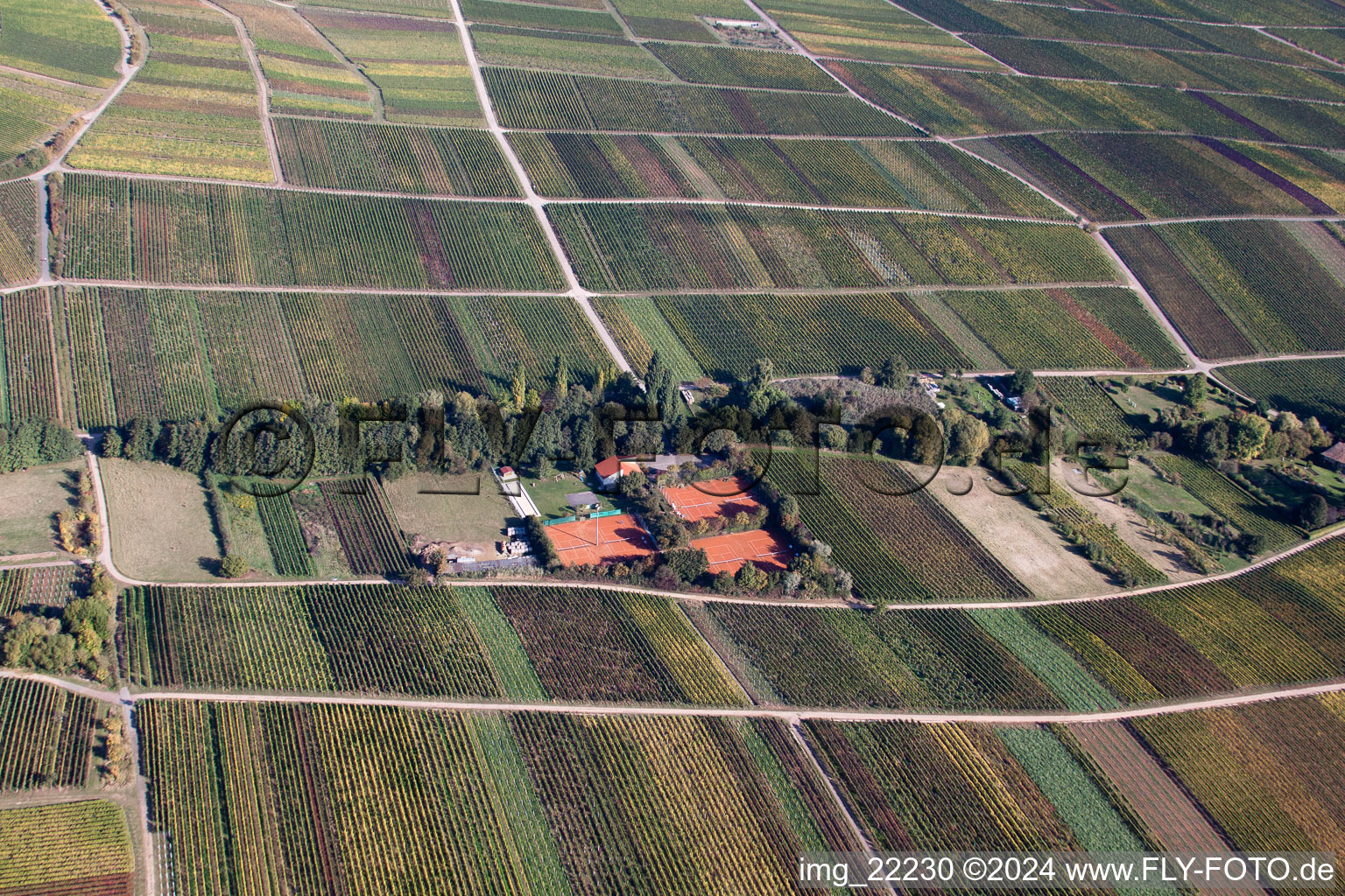 Bird's eye view of Burrweiler in the state Rhineland-Palatinate, Germany