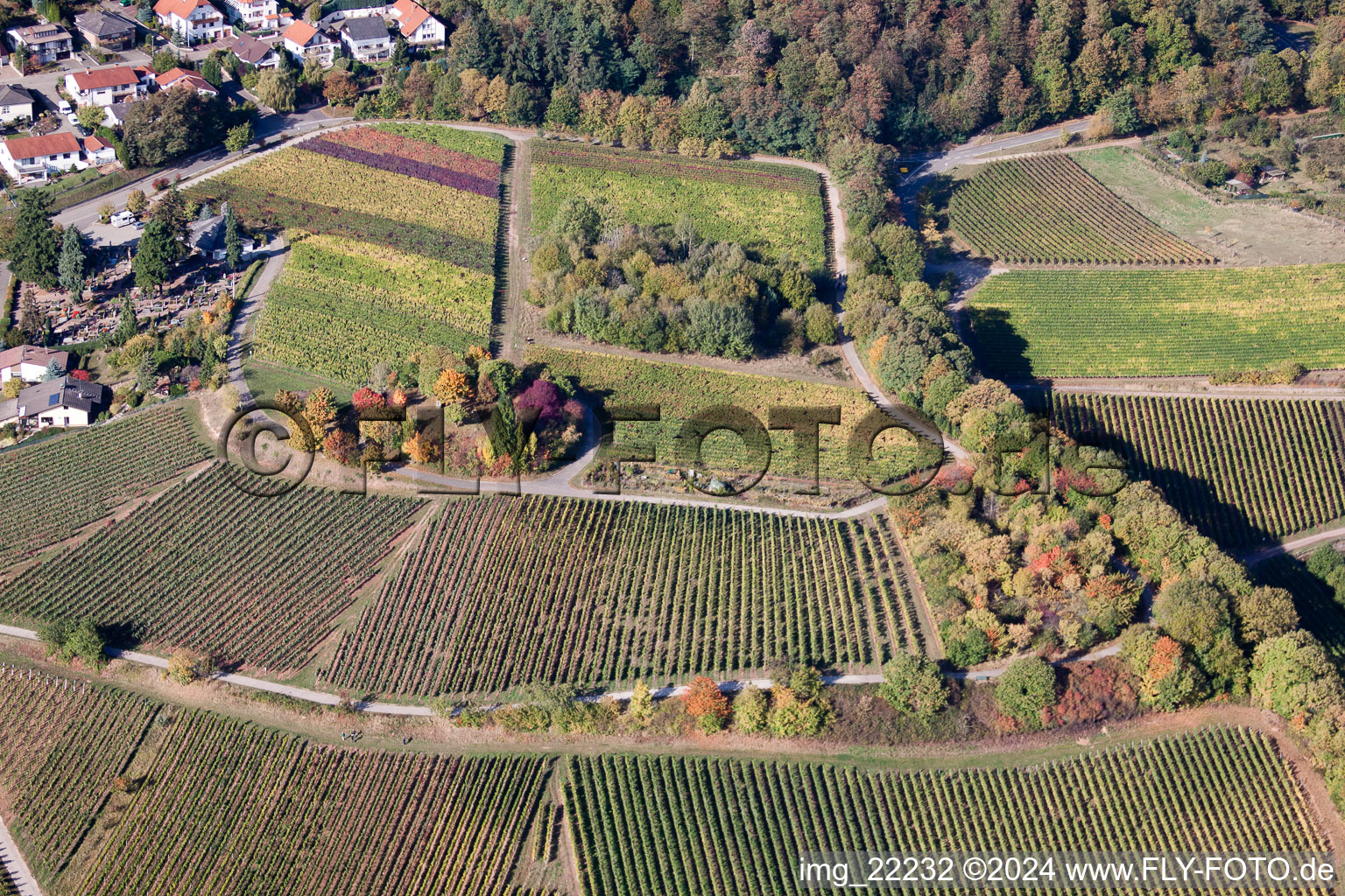 Drone recording of Burrweiler in the state Rhineland-Palatinate, Germany